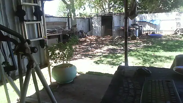 Snapshot of herbie010666 chatting on December 2025 03:56:01 AM herbie010666 online show from December 2025 03:56:01 AM