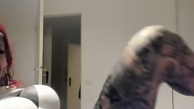 tamarapervert online show from March 2026 11:22:01 PM