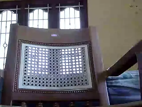 reegan889 online show from January 2026 06:29:01 AM