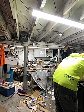 charactrzero online show from January 2025 05:47:02 PM