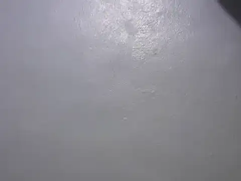 Forsia online show from January 2025 03:24:02 AM