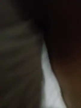 Snapshot of Taniyakuma chatting on December 2024 03:16:01 PM Taniyakuma online show from December 2024 03:16:01 PM