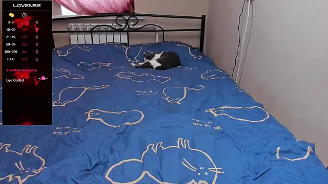 eva zero online show from November 2025 11:33:01 AM