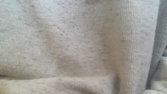 Snapshot of OralDesires2 chatting on February 2025 03:20:02 PM OralDesires2 online show from February 2025 03:20:02 PM