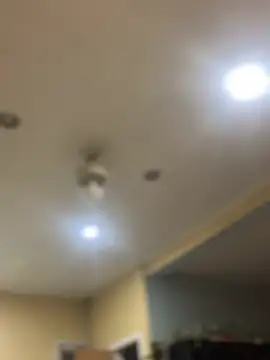 Snapshot of dingoding chatting on February 2025 10:40:01 AM dingoding online show from February 2025 10:40:01 AM