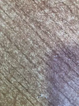 gokhanbey34 online show from October 2025 08:53:01 AM