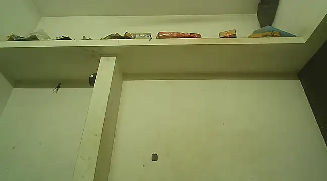 Snapshot of Akhilamolu_the_transsissy chatting on February 2025 05:39:02 PM Akhilamolu the transsissy online show from February 2025 05:39:02 PM