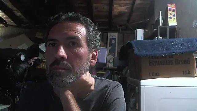 Anarchy Burger online show from March 2026 07:31:01 PM