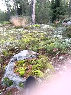 Andreashow online show from September 2025 04:09:02 PM