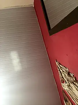 pimenta gaby online show from November 2025 02:13:01 PM