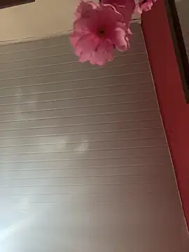 pimenta gaby online show from April 2026 12:02:01 PM