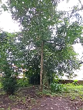 Snapshot of Yuky_ta chatting on February 2025 05:50:01 PM Yuky ta online show from February 2025 05:50:01 PM