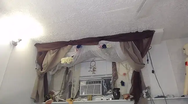 Snapshot of MaxiMillz chatting on January 2025 06:29:01 AM MaxiMillz online show from January 2025 06:29:01 AM