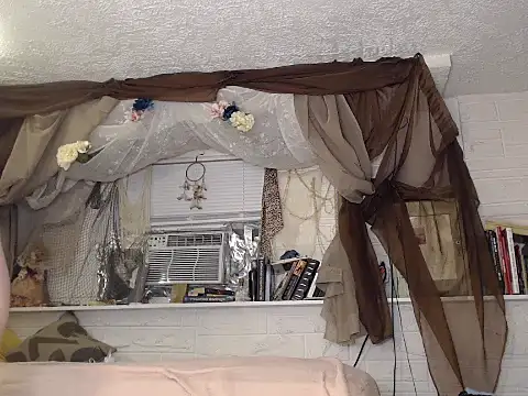 Snapshot of MaxiMillz chatting on November 2025 02:22:01 AM MaxiMillz online show from November 2025 02:22:01 AM