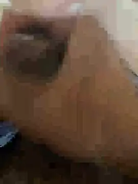 Snapshot of stuard-19 chatting on July 2026 11:20:02 PM stuard-19 online show from July 2026 11:20:02 PM