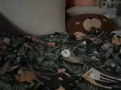 Snapshot of Perwers_41 chatting on November 2025 02:19:01 PM Perwers 41 online show from November 2025 02:19:01 PM