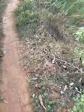 Gopal1243 online show from January 2025 02:27:02 AM