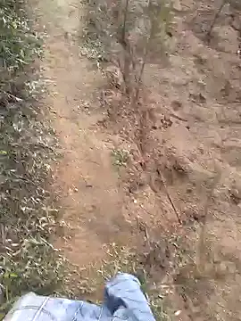 Gopal1243 online show from January 2025 01:53:02 AM