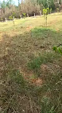 Gopal1243 online show from February 2025 04:01:01 AM