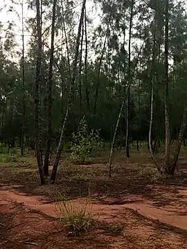 Gopal1243 online show from October 2025 01:58:02 AM