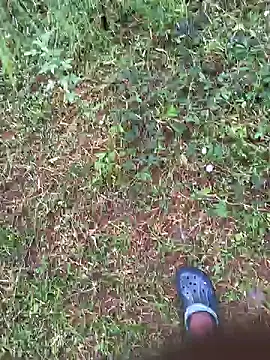 Gopal1243 online show from October 2025 01:31:01 AM