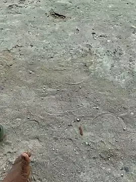 Gopal1243 online show from April 2026 07:55:03 AM