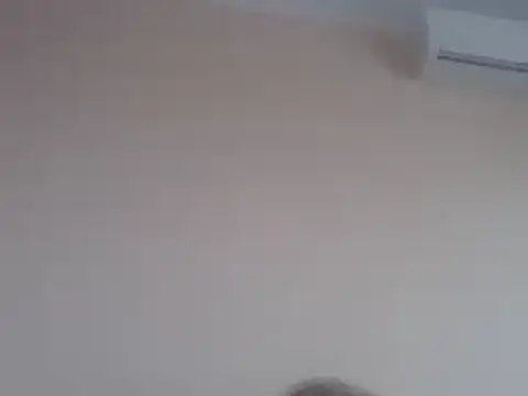 aavocadok online show from December 2024 08:03:02 AM