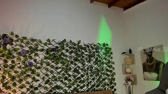 annie barozzi online show from January 2025 01:28:01 PM