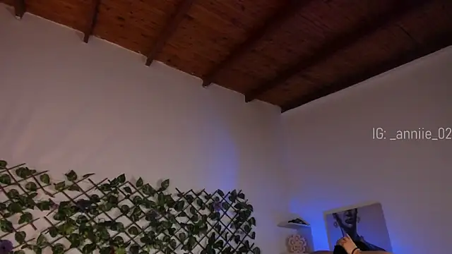 annie barozzi online show from January 2025 01:36:01 PM