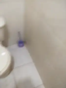 sagrado 1989 online show from February 2026 01:21:01 AM