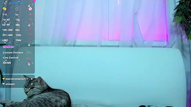 Bell a mi  online show from March 2025 05:40:02 AM