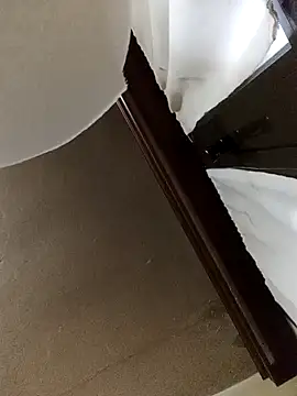 Snapshot of White_rabbit_ chatting on December 2024 04:53:02 PM White rabbit  online show from December 2024 04:53:02 PM