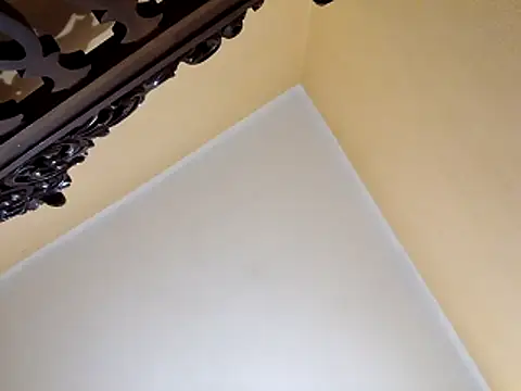 Snapshot of White_rabbit_ chatting on October 2025 10:00:02 PM White rabbit  online show from October 2025 10:00:02 PM