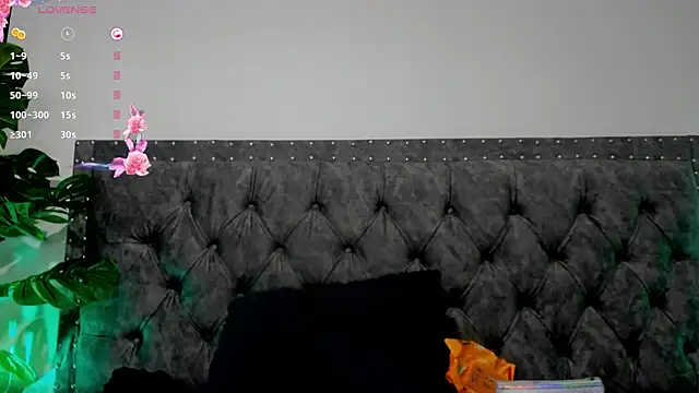 Dounia nagi online show from January 2025 12:26:02 PM