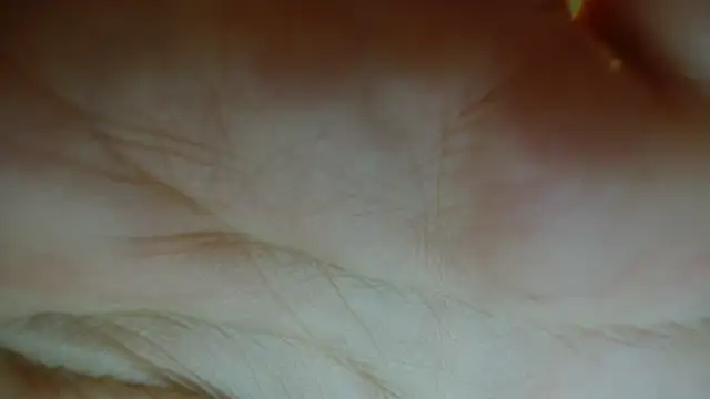 Sassy Latina online show from January 2026 03:01:01 AM