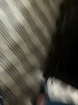 hotdickhow online show from March 2025 03:35:01 PM