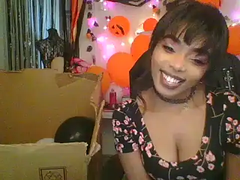 Anaconda2350 online show from November 2025 10:54:02 AM