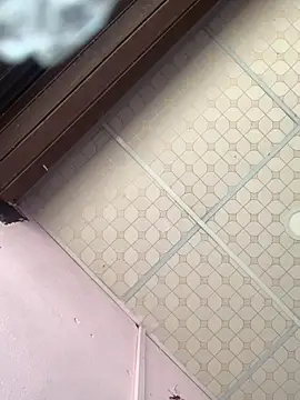 Hullax online show from November 2025 04:34:02 AM