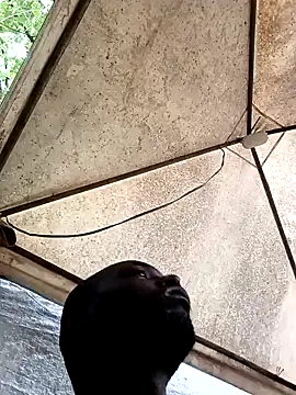 HARLEXBIGCOCK online show from December 2024 06:38:02 PM