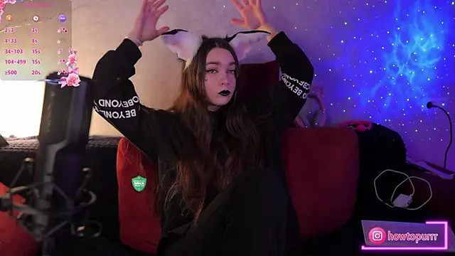 Snapshot of How2Meow chatting on February 2025 05:42:02 PM How2Meow online show from February 2025 05:42:02 PM