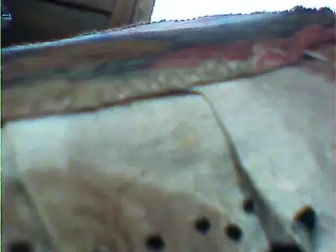 Snapshot of messi_syssy chatting on February 2025 10:58:01 AM messi syssy online show from February 2025 10:58:01 AM
