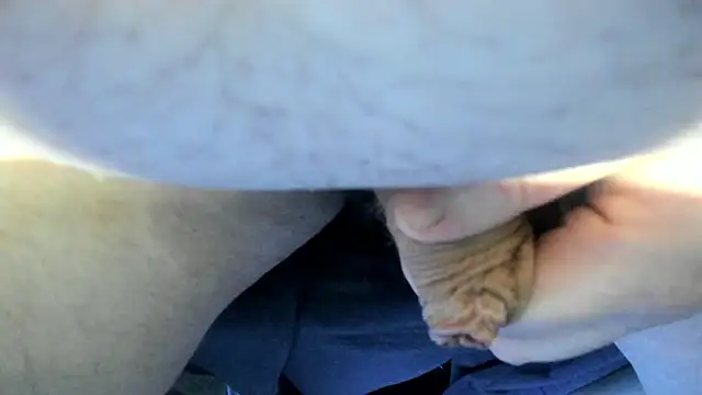 Big Andiy online show from September 2025 03:05:01 AM