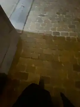 Snapshot of Thepanthera chatting on September 2025 04:47:02 AM Thepanthera online show from September 2025 04:47:02 AM