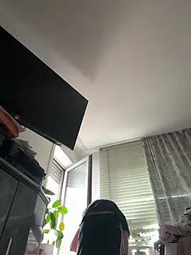 Toyjungee online show from July 2026 11:39:02 AM