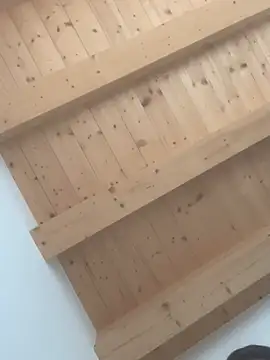 Snapshot of Fellix chatting on February 2025 11:43:01 AM Fellix online show from February 2025 11:43:01 AM