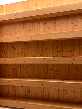 Snapshot of Fellix chatting on November 2025 08:42:01 AM Fellix online show from November 2025 08:42:01 AM