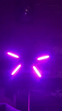 KBONE36 online show from January 2026 09:57:02 AM