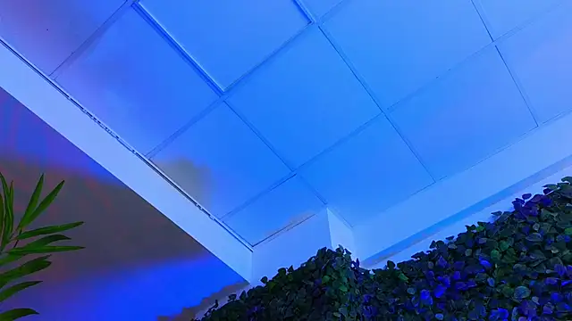 Snapshot of HotSkinnyX chatting on February 2025 12:54:01 PM HotSkinnyX online show from February 2025 12:54:01 PM