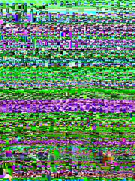 versetopcouple online show from October 2025 04:09:02 PM