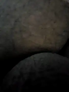 Mallupaiyanaachu online show from February 2025 04:31:01 PM